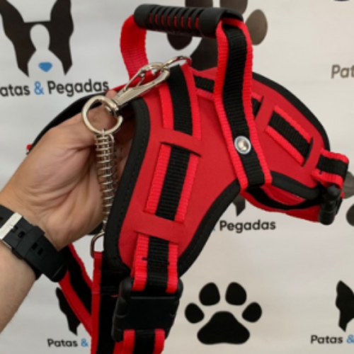 Peitoral Coleira Cachorro Médio Grande Porte Labrador Pitbull Pastor Alemão Fila Guia Super Resistente