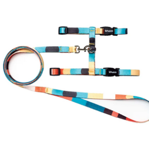 Peitoral Cat Fita Califórnia Para Gatos